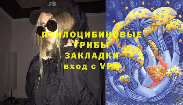 твердый Абаза