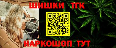 крисы Гудермес