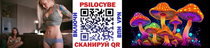 хочу Тюмень Галлюциногенные грибы Psilocybine cubensis